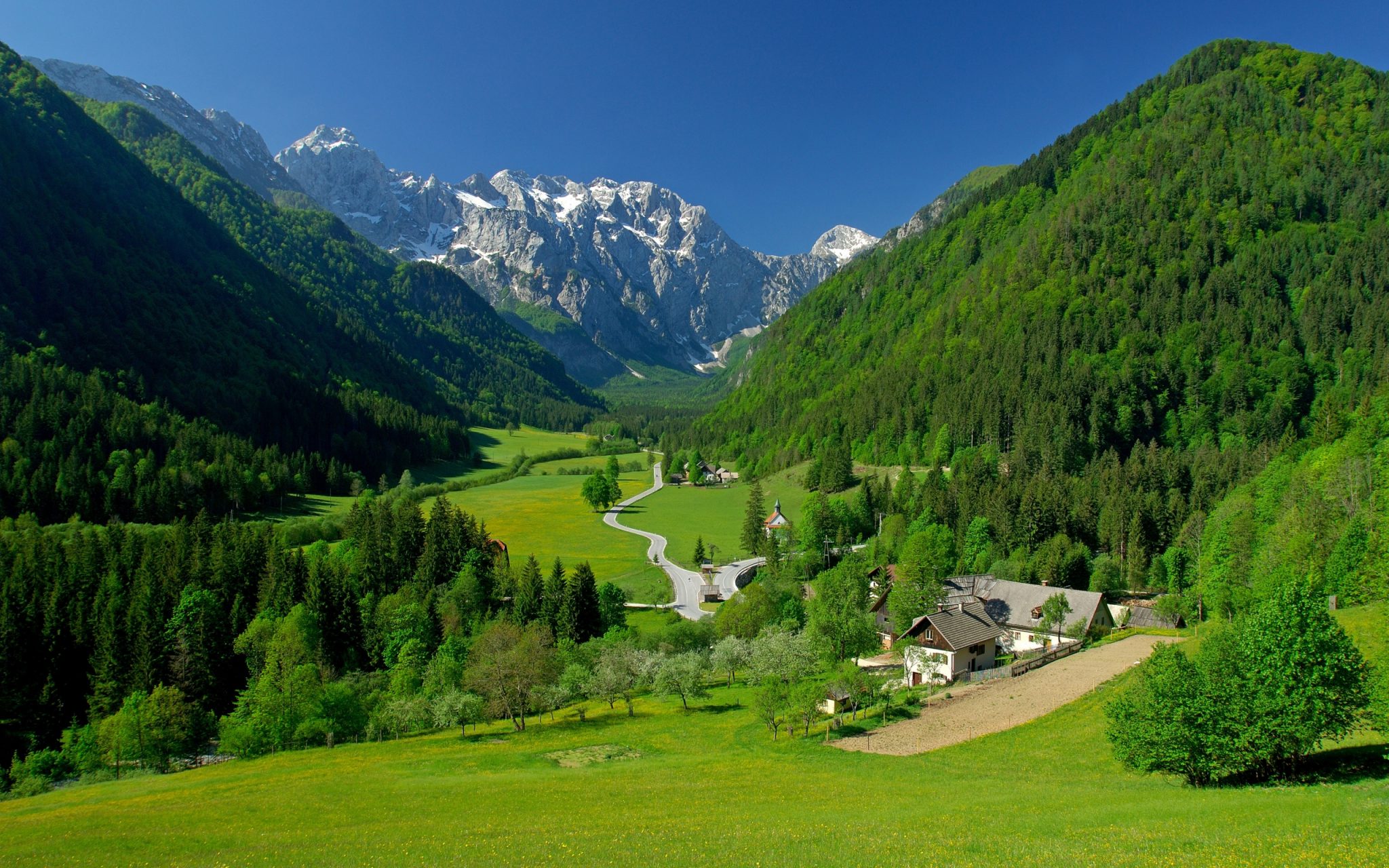 Main Image