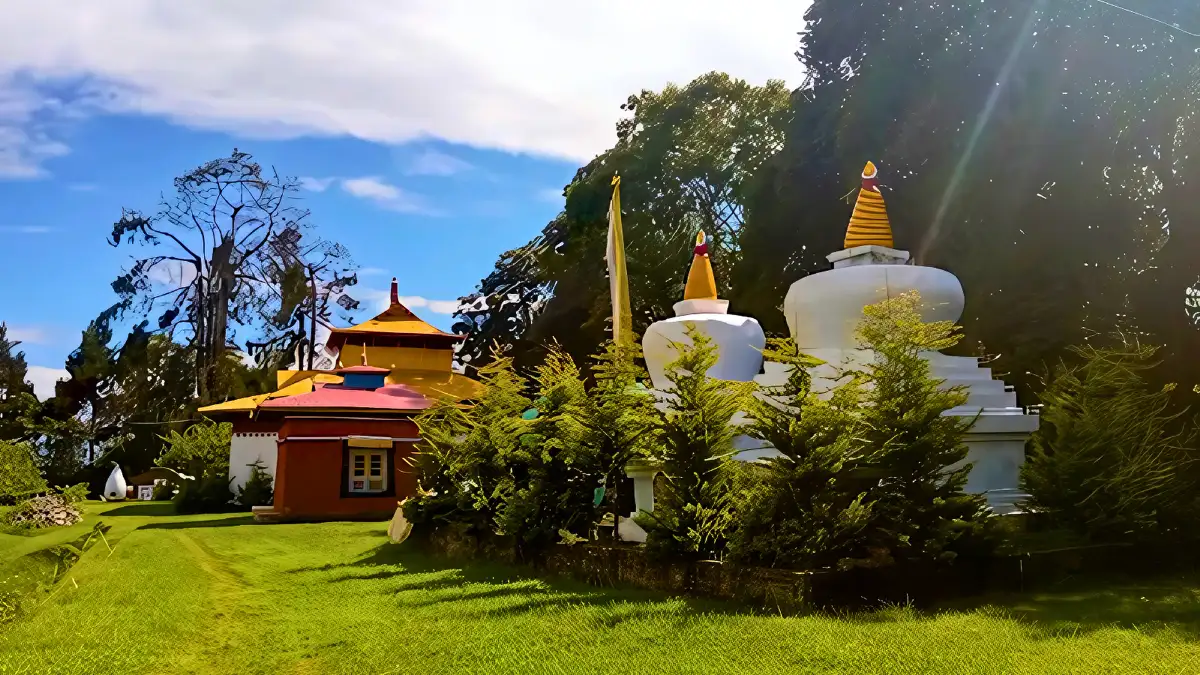 Main Image