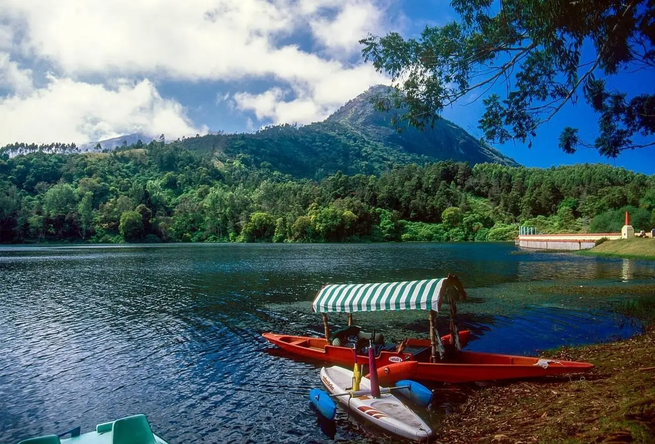 Main Image